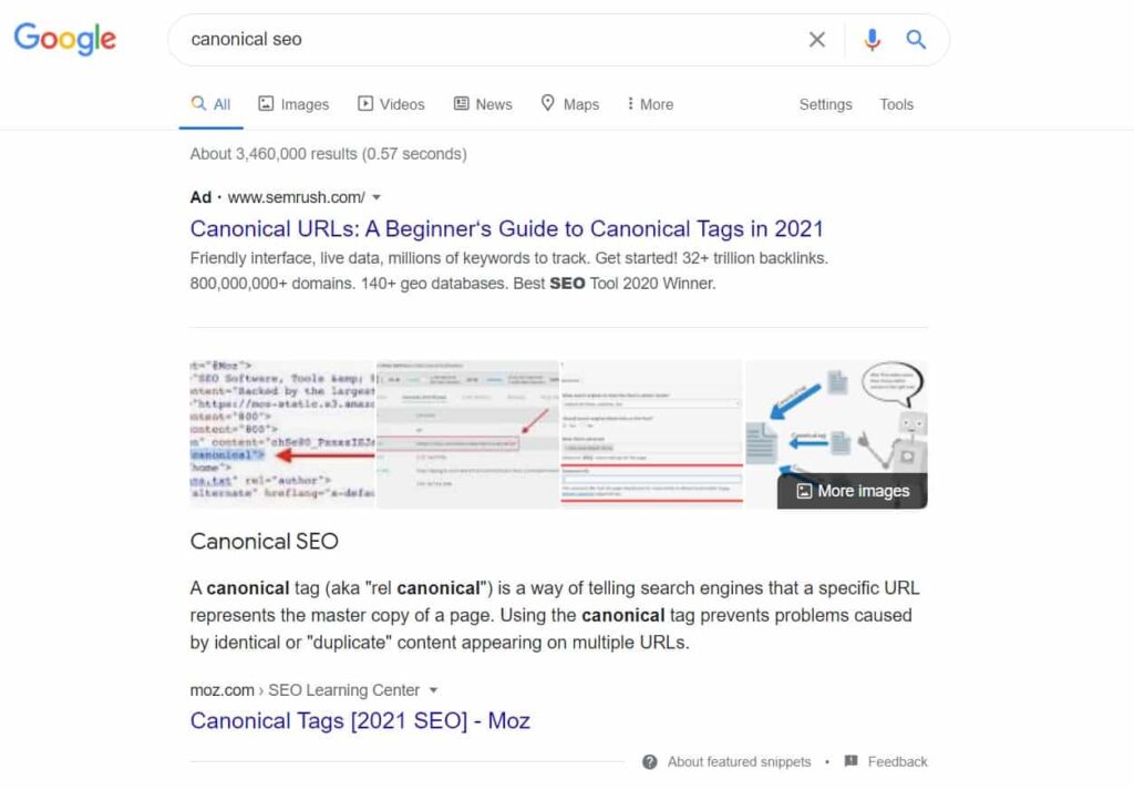 Canonical SEO - image results